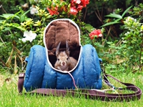 (Oreo)Squirrel Honey bag Glider Hedgehog mink Cowboy take-away bag One shoulder oblique cross boys