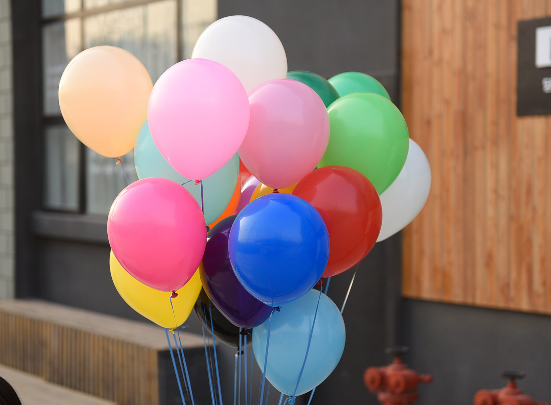 Wedding Balloon Wedding House Arrangement 10 Inch Pink Red Latex Balloon Party Decorations each 100 National