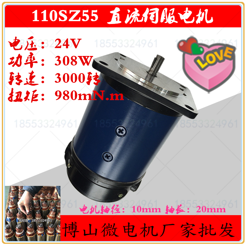 110SZ55 DC servo motors 3000 turn DC AC Motor 308W 24V DC motors