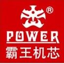 霸王钟表机芯的LOGO