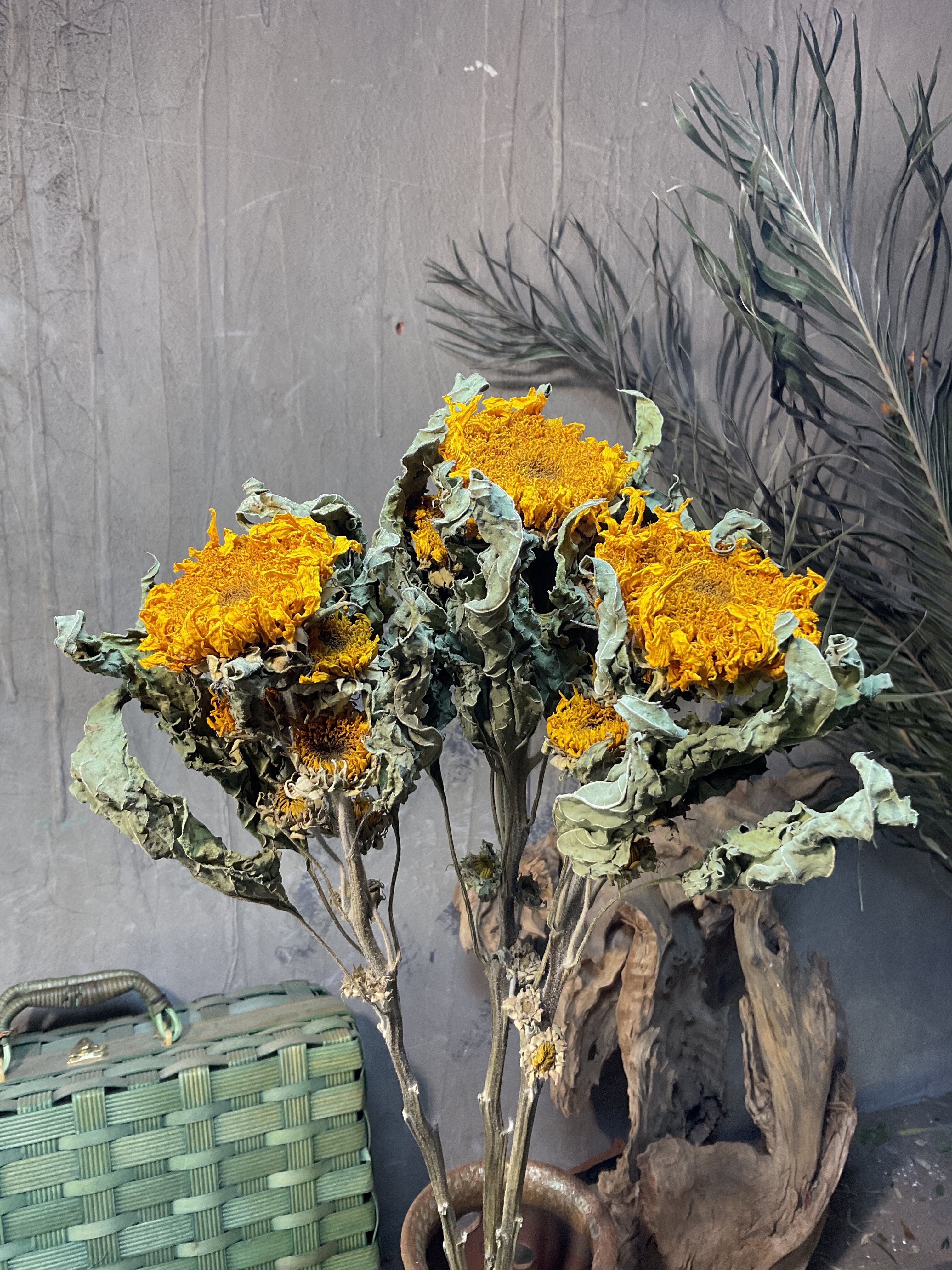 鹊桥干花