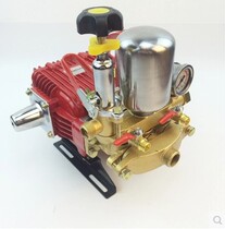 Agricultural Nebulizer Water Pump 3WZ-26 60 Type Plunger Pump High Pressure Water Pump Dosing Pump Motor Spray Machine Triple Cylinder