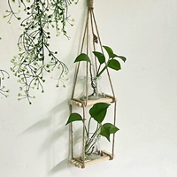 В INS Creative Hydroponic Plant Wall -стеклянная стеклянная цветочная бутылка