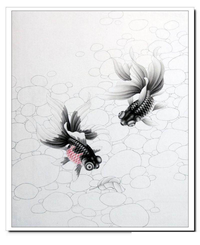 5 goldfish process Chinese painting homework painting Animal Gongbi painting White drawing background electronic wire draft 001