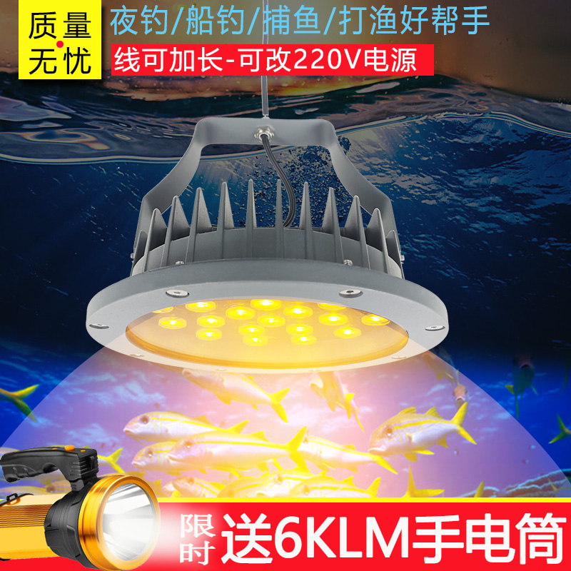 Winter fishing ice fishing male fish silver fish deep water trap light gathering fish catfish light fishing fishing lured light raft fishing light gold yellow light