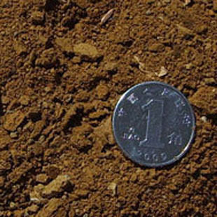 Bulk hemp Sauce Flower Fertilizer Flower Universal Family Balcony Vegetable Flower Growing Vegetable Fertilizer Promotion