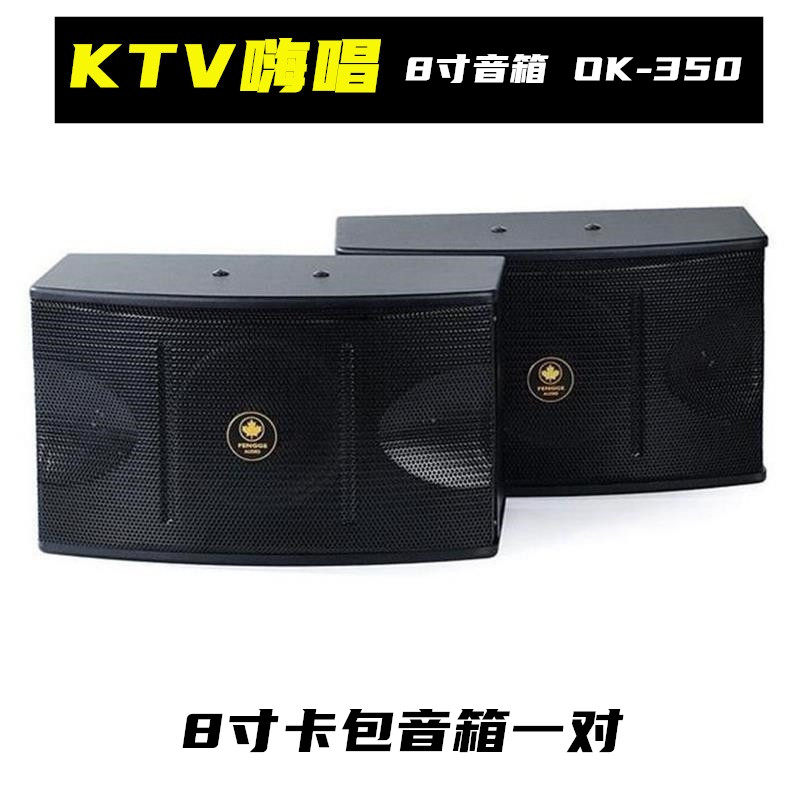 Maple 8 Inch 10 inch KTV Sound Family karaoke Conference Background Music Entertainment Wedding Carpack speaker