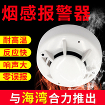 Smoke alarm computer room networked fire detection system intelligent fire smoke sensor RS485 transmitter