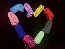 (Ready stock) Art Excellence Domestic artistic gymnastics professional training quality special elastic band (8 grids)