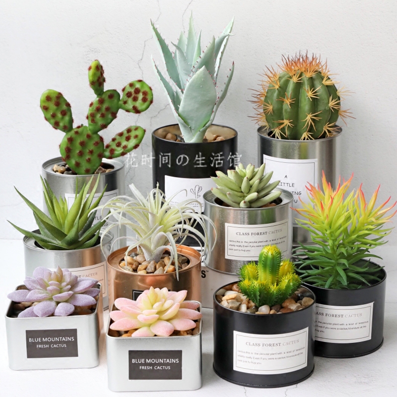 Simulation Multi-Meat Plant Potted Suit Ins Nordic Style Living-room Home Furnishing Decorations Fake Flower Pendulum