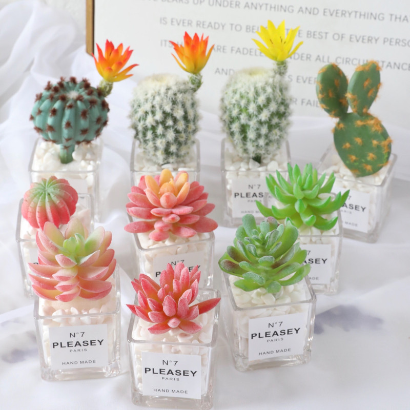 Simulation of multi-meat plant cactus pins false dry flower green planting indoor desktop bookshelf small potted decoration furnishing pieces-Taobao