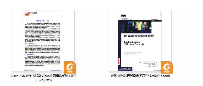 【必看Book】CCIE必看书籍之七：IP路由协议疑难解析（2本）