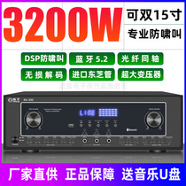 Professional Bluetooth amplifier high-power home karaoke audio card radio stage stereo video amplifier