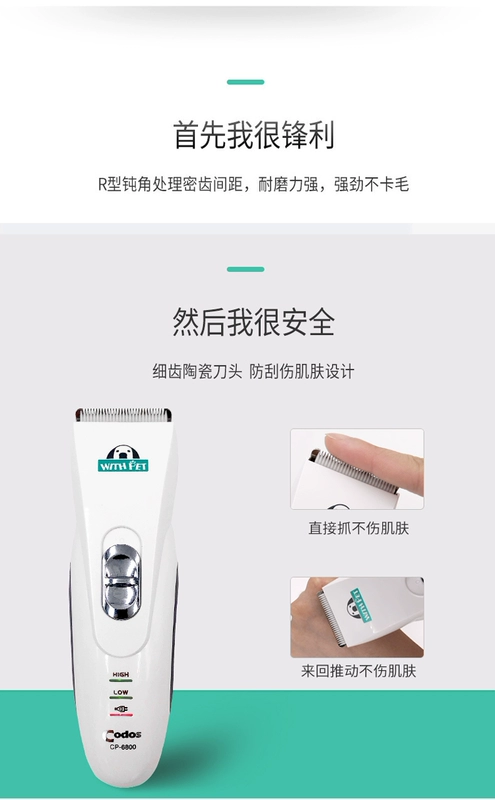Codez pet dog dog cat điện kẹp tóc công suất cao cp6800 có thể sạc lại Teddy dao cạo râu - Cat / Dog Beauty & Cleaning Supplies