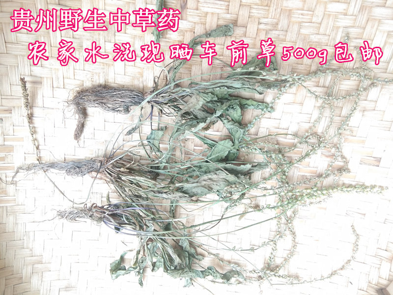 Guizhou Wild Middle Grass Medicinal Herbs Flat Plantain Herb Washed Dry Goods Car Tea Grass Shrimp Toad Toad Leaf 500g