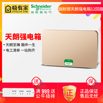 Schneider strong electric box concealed 12 circuits air switch leak insurance box household electric box Tianlang golden distribution box