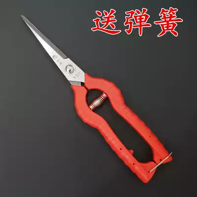 Fruit and scissors, pepper, grape picking scissors, flower shears, fruit and vegetable picking, gardening scissors, fruit shears, pruning shears