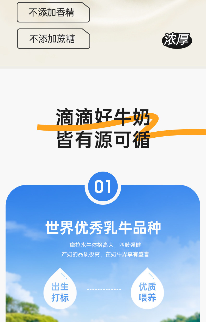 安享好物 安享A级纯奶-百菲酪4.2水牛奶 国标
