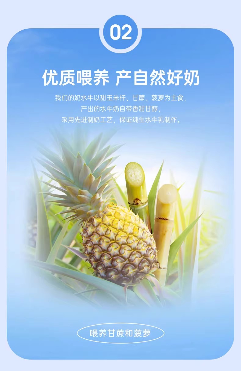 安享好物 安享D级纯奶-百菲酪水牛高钙奶 国标