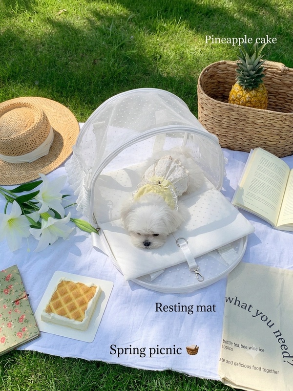 Pet Carrier for Outdoor Use, Summer Breathable Mesh, Open Style, Portable, Korean Style, ins Bichon Frise, Maltese, Small Dogs and Cats Pet Carrier for Outdoor Use, Summer Breathable Mesh, Open Style, Portable, Korean Style, ins Bichon Frise, Maltese, Small Dogs and Cats