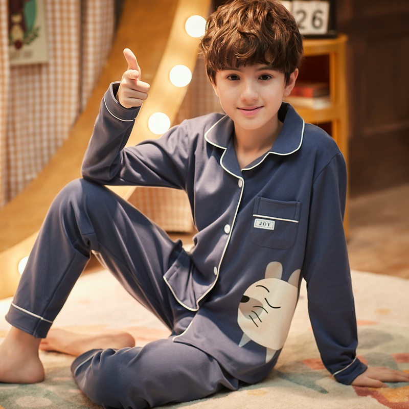 Han version cardio-hoodie boy sleepwear pure cotton long sleeve spring autumn season children boys big small and medium children's home conserved autumn and winter suits