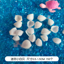 Natural white white shell rice snail shell crafts kindergarten handmade diy material package Fish tank landscaping micro landscape
