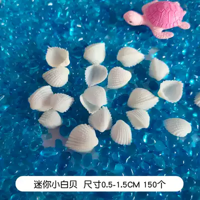 Natural small white shell rice snail shell craft gift decoration kindergarten handmade diy material package fish tank landscape micro landscape