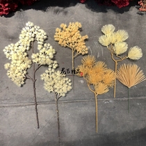 Pearl pine podocarp golden pine cedar Golden white yellow leaf Chinese Zen flower arrangement