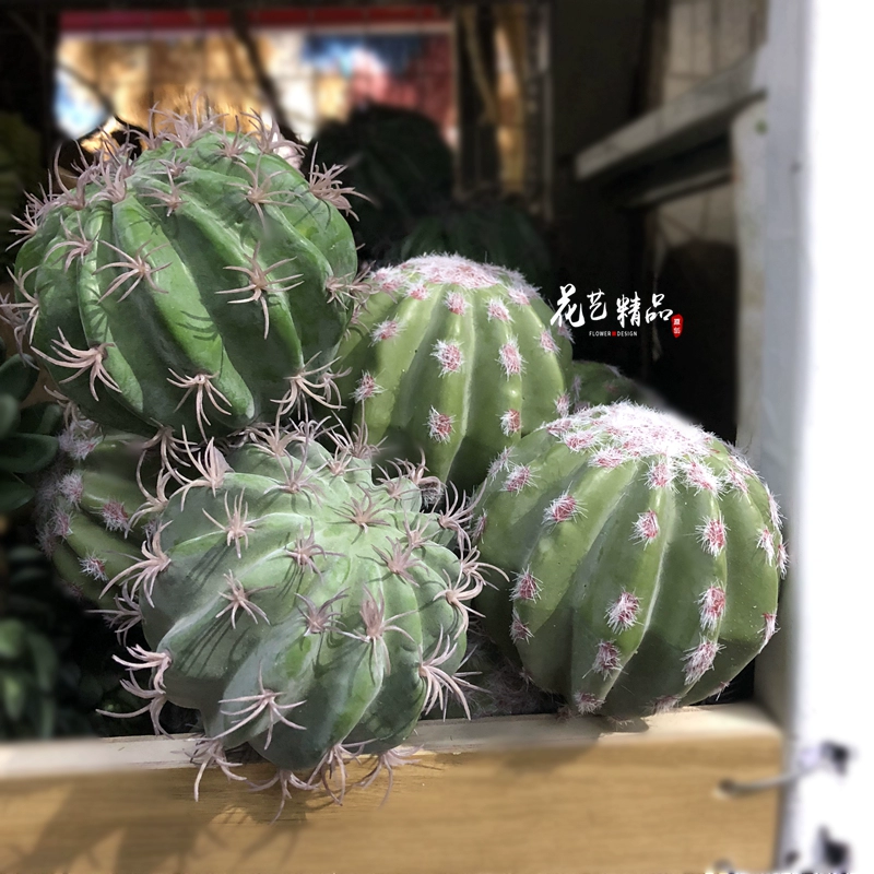 Mô phỏng Cây xương rồng gai Cây xương rồng Saguaro Cây mọng nước Hoa nhân tạo Nhiệt đới sa mạc Phong cảnh Hoa sắp xếp - Hoa nhân tạo / Cây / Trái cây