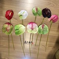 Mô phỏng Anthurium Green Palm White Palm Flamingo Hoa Sắp xếp Chất liệu Hoa mềm Thiết kế Bình hoa Trang trí Hoa giả - Hoa nhân tạo / Cây / Trái cây hoa mai giả