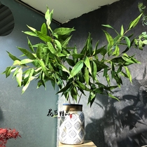 Designer simulation big willow leaf sword leaf bamboo leaf flower arrangement material pointed leaf eucalyptus leaf eucalyptus leaf eucalyptus leaf