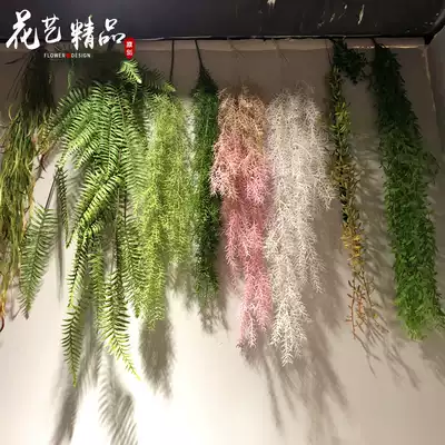 ins pink asparagus air grass Persian grass melon seeds grass lover tears water grass roof hanging plant