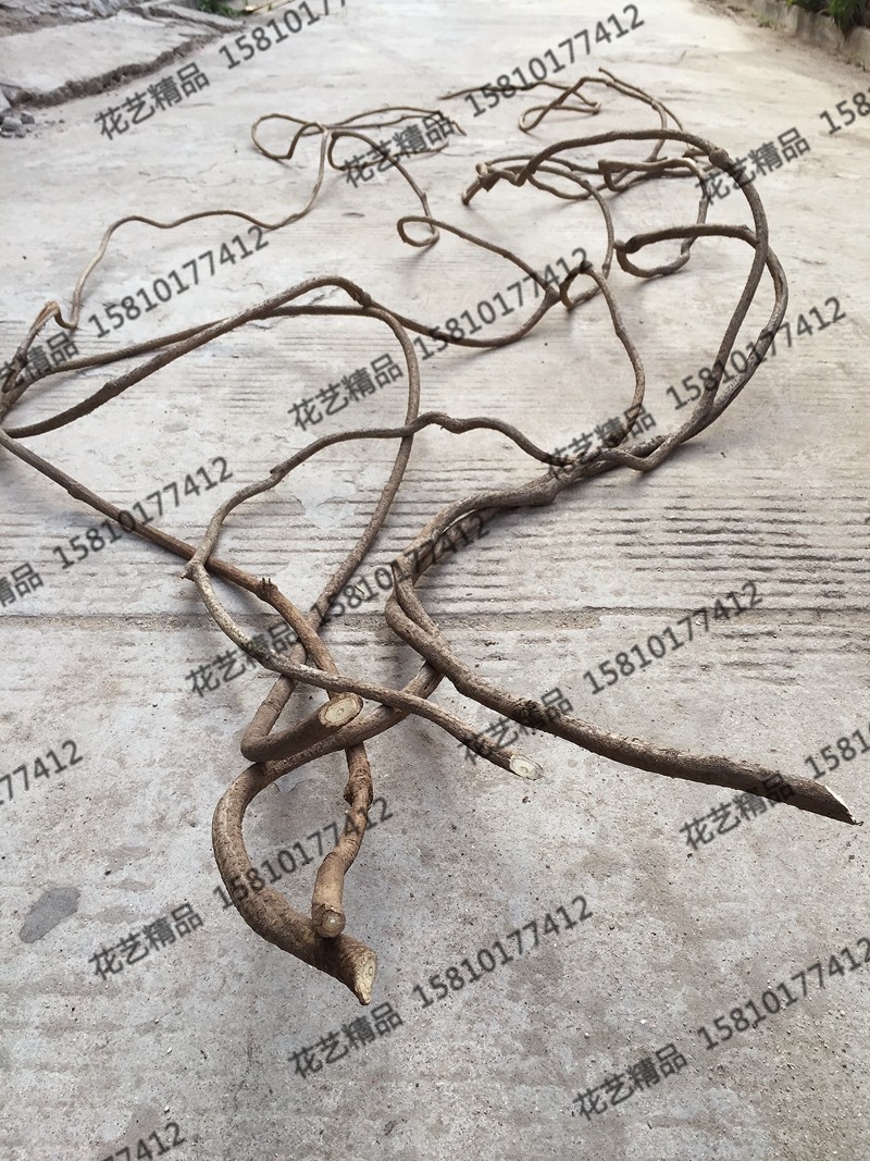 Custom large built view withered vine over Jianglong Shaped Vines Windows Decoration Background Wall Decoration Vines Vine Vines Vine.