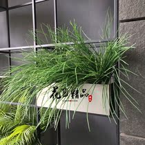 Simulated ground grass leaf plant bonsai flower wall plant aesthetic window display decorations