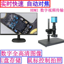 Electronic magnification digital single-tube microscope autofocus HDMI full HD mouse photo U disk detection and analysis
