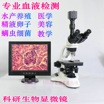 Biological microscope a drop of blood to detect cells aquaculture fish disease algae medical science experiment sperm mites