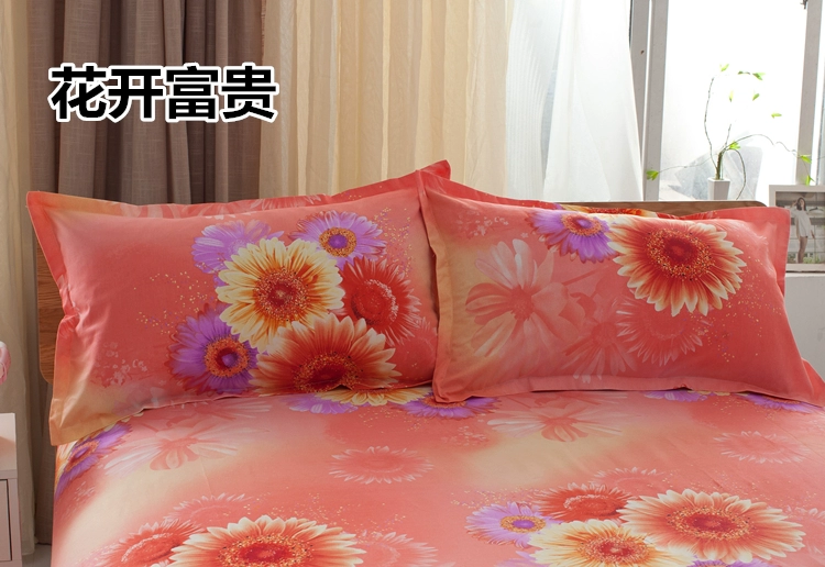 in ấn đặc biệt gối cũ gối thô bông đổ mồ hôi một giá cặp 24 nhân dân tệ (2) - Gối trường hợp goi chu u