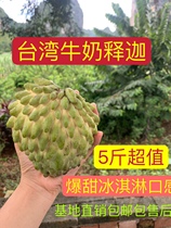 Тайваньское молоко Sakyot Fresh 5 catties pineapple Sakya good When the preseassed lychee Buddha