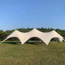 Outdoor Mega Outdoor Sky Tent Large Hexagon Camping Camping Camping Thicken Rain Protection Sunscreen Canopy Large Cool Shed
