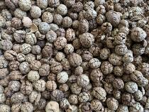 Guangxi grass cardamom 50g grass buckled old cardamom fly Thunder scorching cabbage hot pot spice seasoning