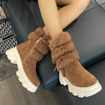 Winter shoes women plus velvet thickened waterproof snow boots womens shoes winter 2021 new warm cotton wool lush shoes