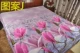 Đặc biệt 3D lập thể chăn in bông đặt hẹn giờ vận chuyển 2 * 2,2 m - Quilt Covers chăn băng lông