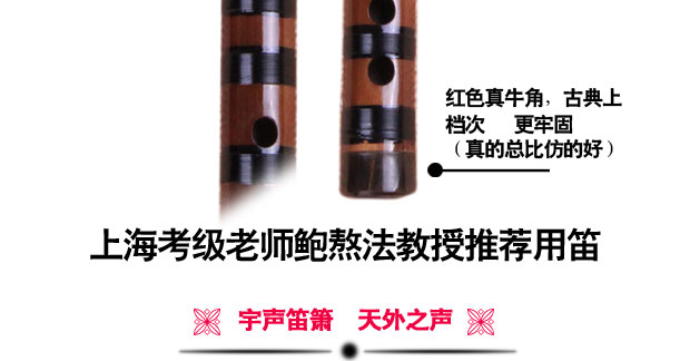 Sáo / đồng trắng chuyên nghiệp đôi sáo tre đắng / Bao Miaoliang tinh chế / nhạc cụ Yusheng / thử nghiệm mới bắt đầu - Nhạc cụ dân tộc đàn cổ cầm giá bao nhiều