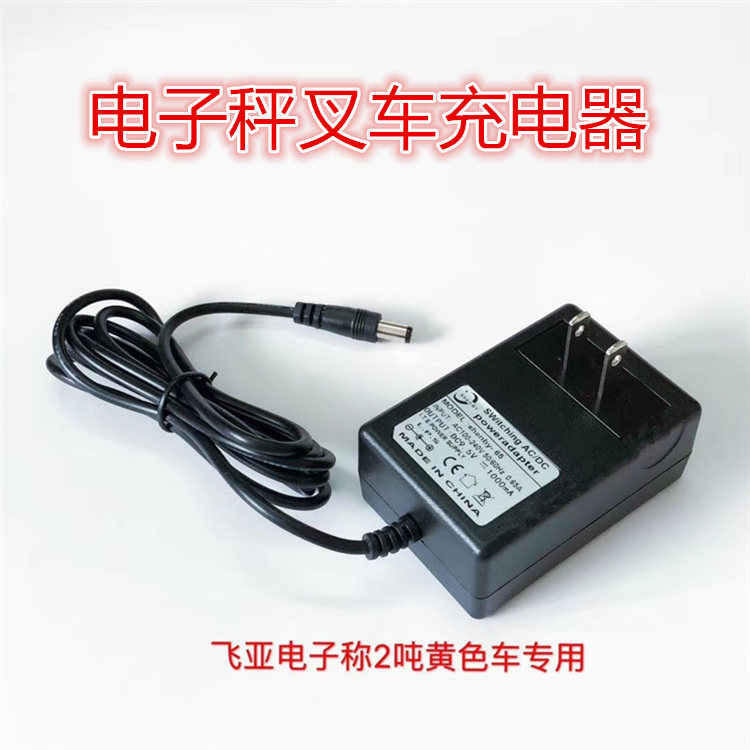 Feiya Electronic Scale Charger Manual Forklift Truck Charger Weighing Forklift Battery Charger