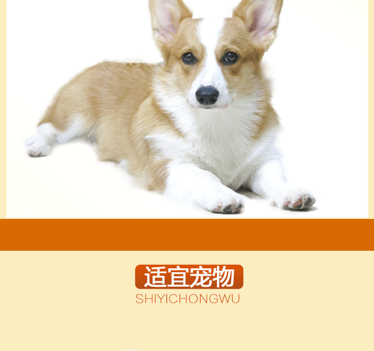 Pet dog cat vitamin bd chất lỏng viên canxi bột xương bổ sung canxi con chó mang thai chó mèo dinh dưỡng - Cat / Dog Health bổ sung sữa cho chó tốt nhất	