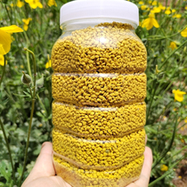 Fresh natural wild rapeseed pollen edible bee pollen male prostate pollen one pound
