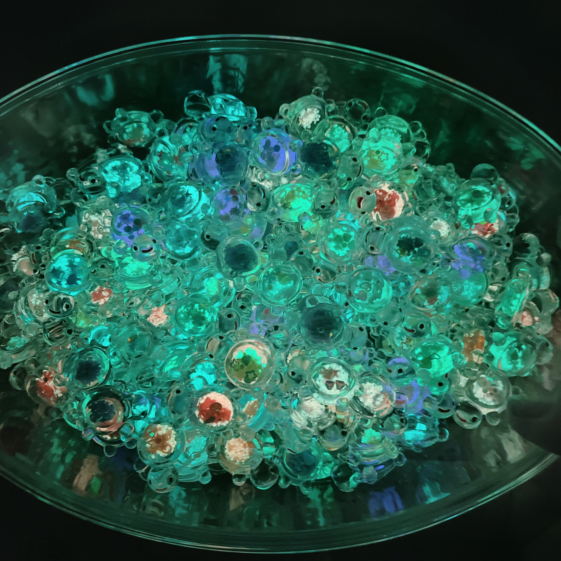 守护龟宠健康：解密护龟片背后的秘密