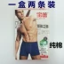 Baolei đóng hộp quần lót cotton boxer quần short thoải mái và thoáng khí Một hộp gồm hai hộp đồ lót bán buôn áo lót nam Võ sĩ quyền Anh