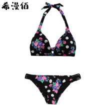 Xi Manbai 2020 new swimsuit female hot spring halter neck lace-up small chest gathered sexy three-point bikini