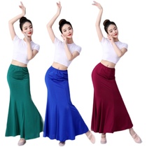 Dai costume practice dress adult half-body dance show performanceGongkung skirt strength peacock tail